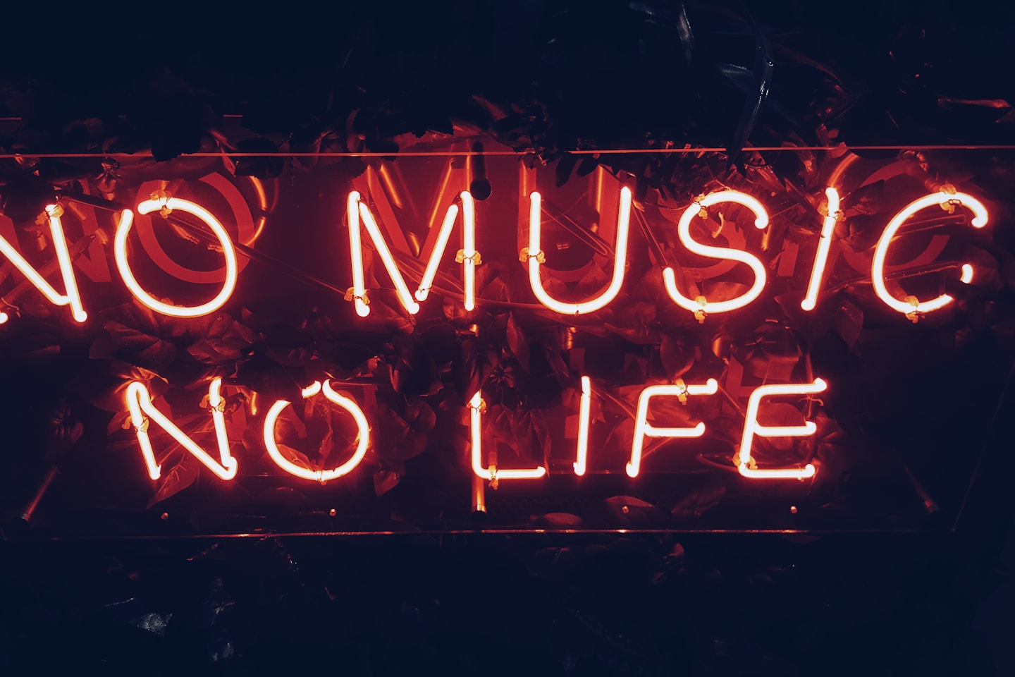 No Music No Life